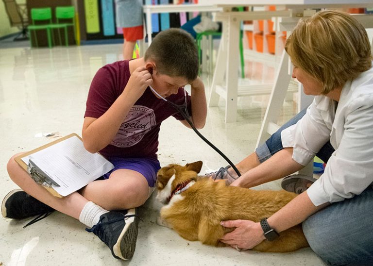 Veterinary Diagnostic Testing in Krum, TX Krum Veterinary Hospital